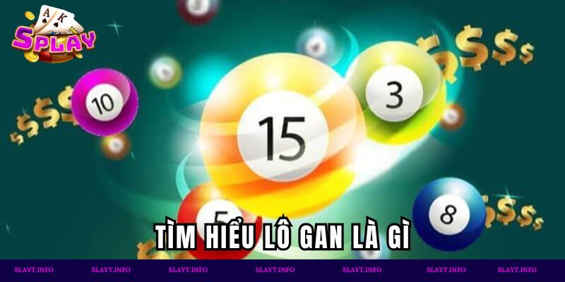 Tìm hiểu lô gan là gì