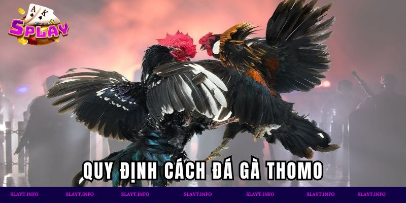 Quy định cách chơi đá gà chi tiết
